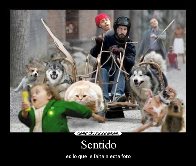 Sentido - 