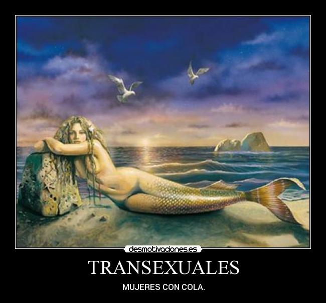 TRANSEXUALES - 