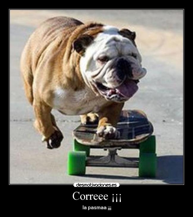 Correee ¡¡¡ - 