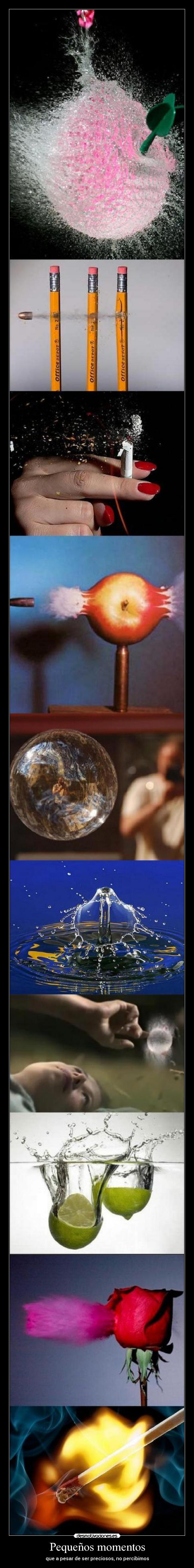 Pequeños momentos - que a pesar de ser preciosos, no percibimos