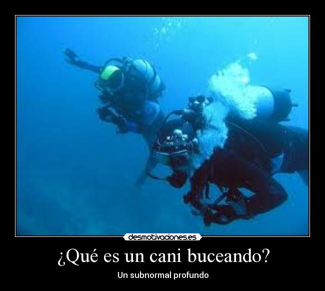 ¿Qué es un cani buceando? -