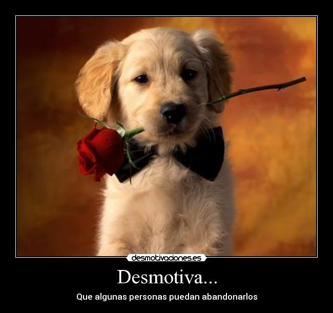 carteles popeye20 desmotivaciones