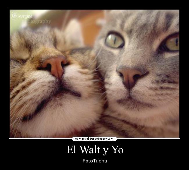 El Walt y Yo - FotoTuenti