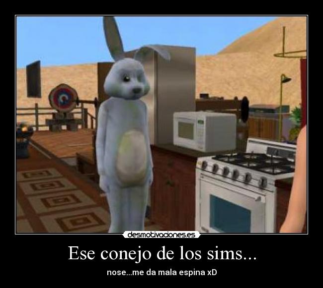 carteles simsconejoesenosemalaespinadelos desmotivaciones