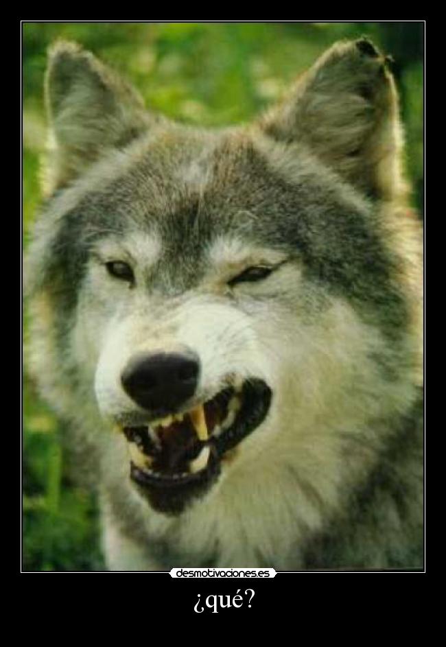 carteles  desmotivaciones