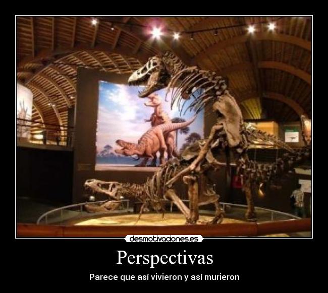 Perspectivas - Parece que así vivieron y así murieron