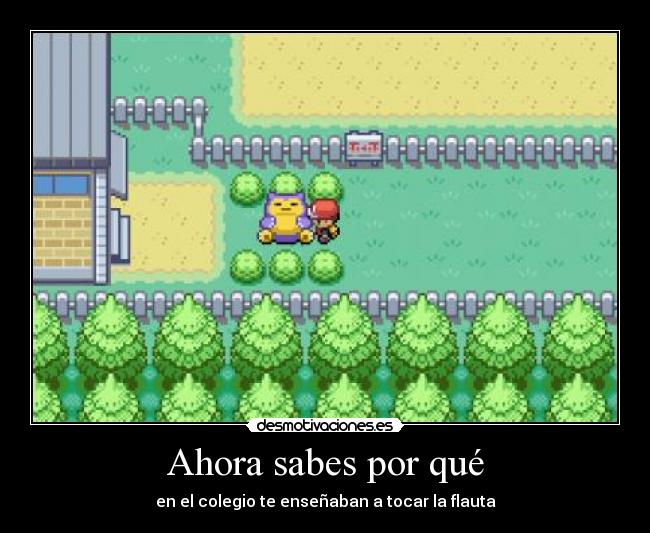 Ahora sabes por qué - 