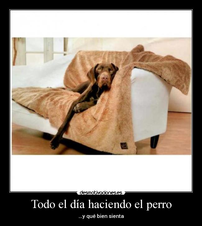 carteles pero desmotivaciones