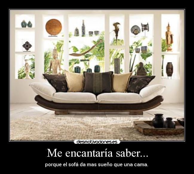 Me encantaría saber... - 