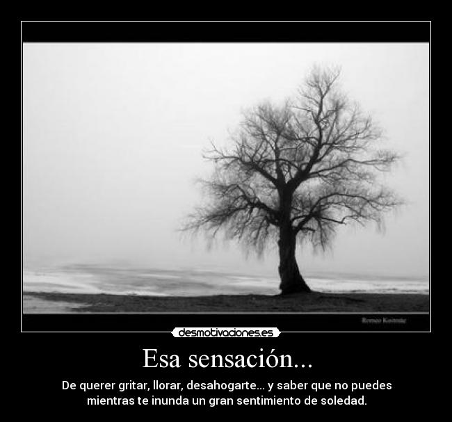 Esa sensación... - De querer gritar, llorar, desahogarte... y saber que no puedes
mientras te inunda un gran sentimiento de soledad.