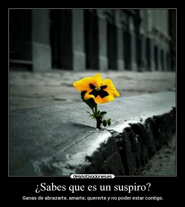 carteles wwwdesmotivacioneses desmotivaciones