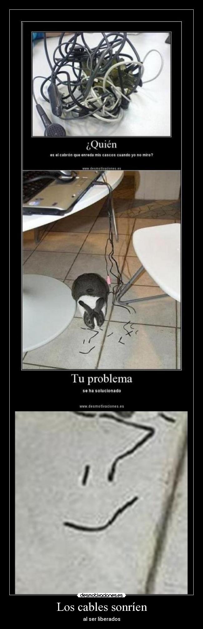 Los cables sonríen - al ser liberados