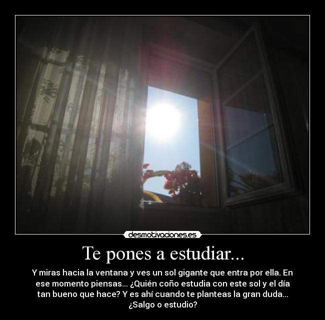 Te pones a estudiar... - 