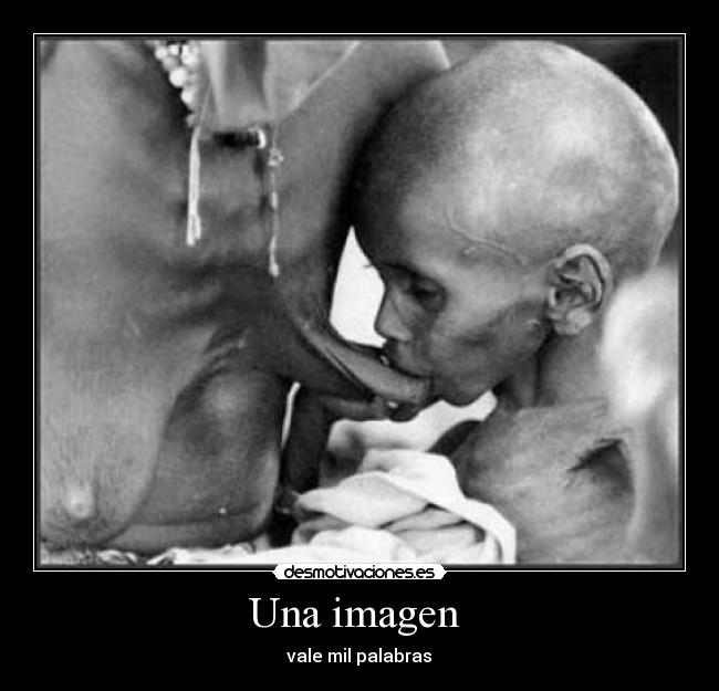 Una imagen  - 