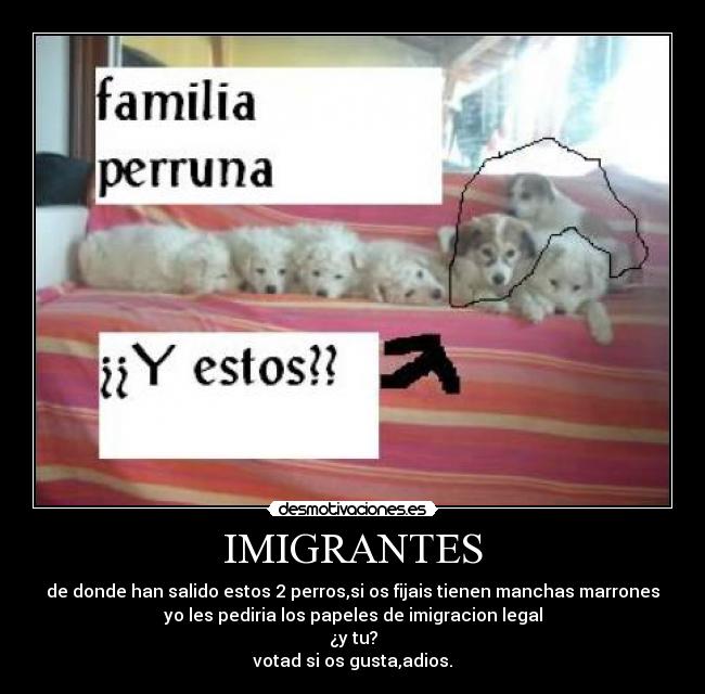IMIGRANTES - 