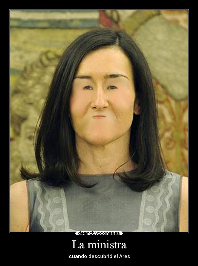 carteles ministra sinde ares descargas desmotivaciones