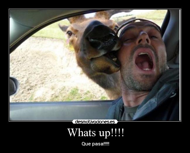 Whats up!!!! - 