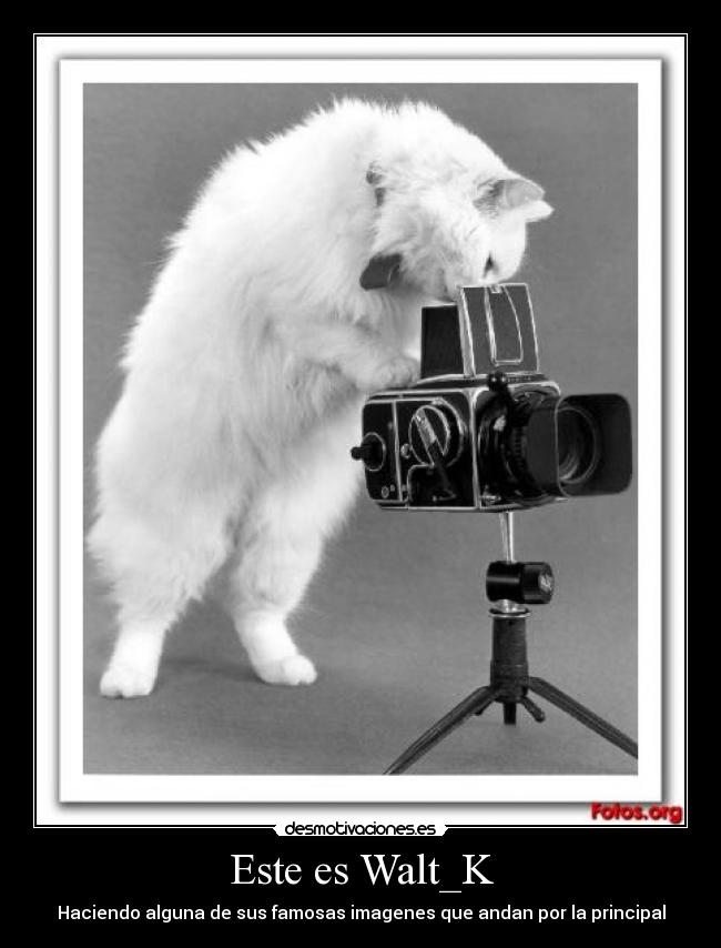 Este es Walt_K -
