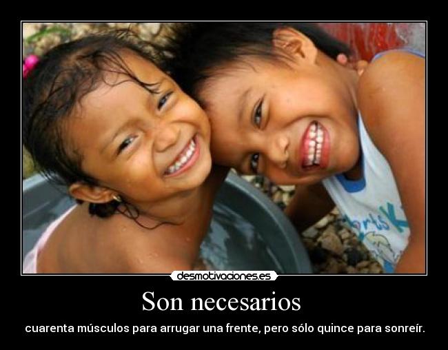 Son necesarios -