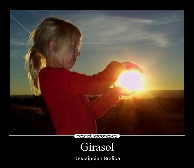 Girasol - Descripción Grafica