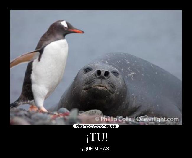 ¡TU! - ¡QUE MIRAS!