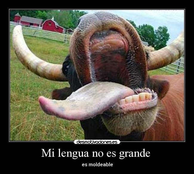 Mi lengua no es grande -