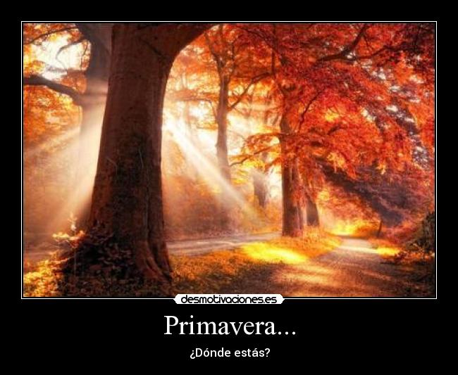 Primavera... - ¿Dónde estás?