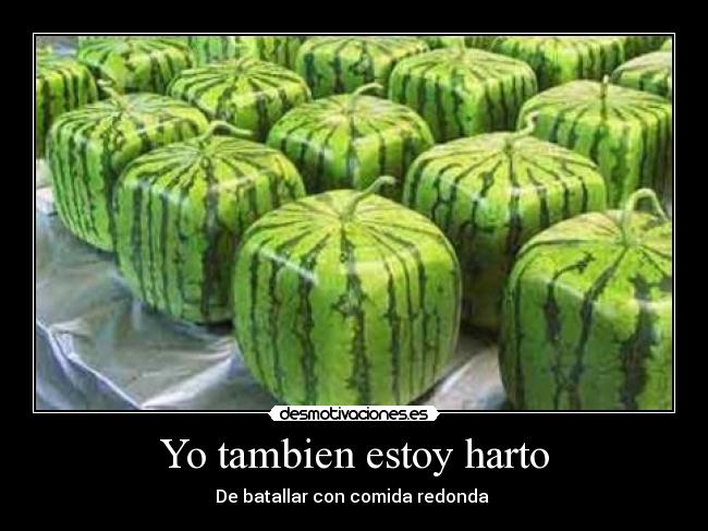 Yo tambien estoy harto -