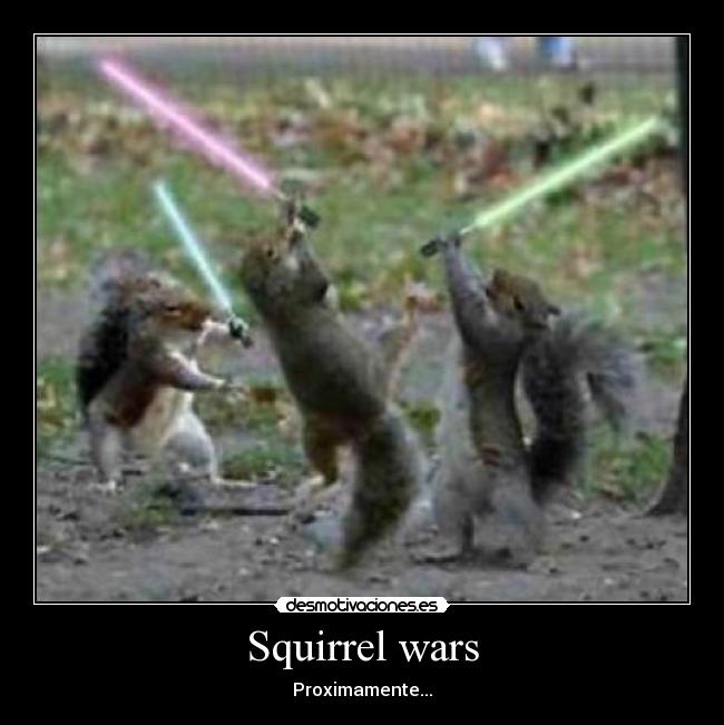 Squirrel wars - 