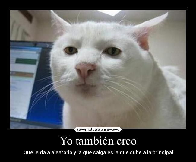 Yo también creo - 