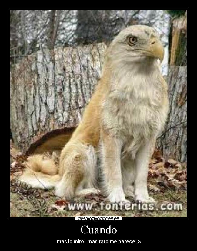 Cuando - mas lo miro.. mas raro me parece :S