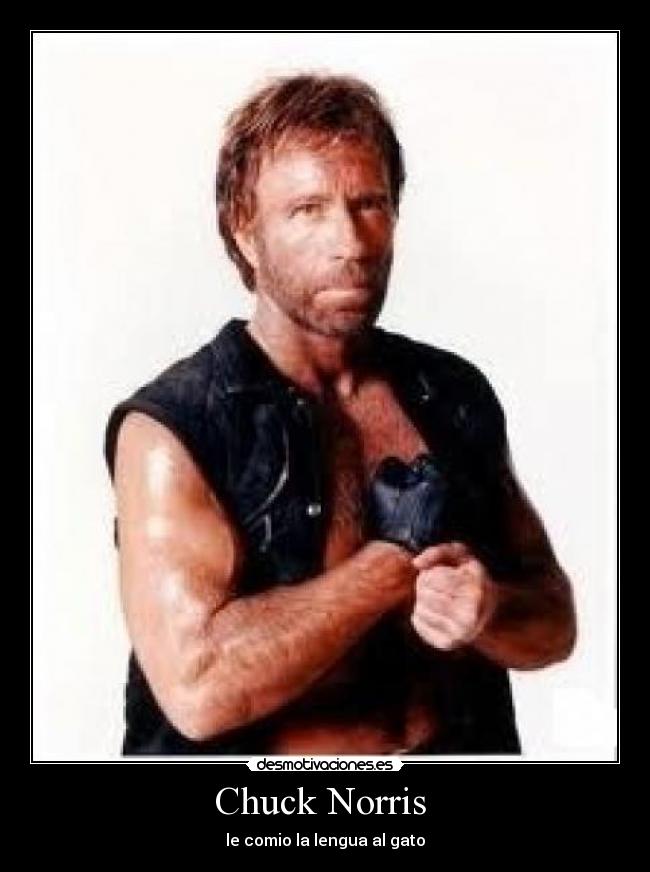 Chuck Norris  - le comio la lengua al gato