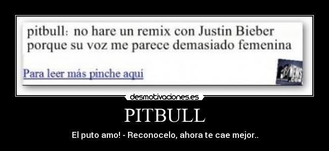 PITBULL - 