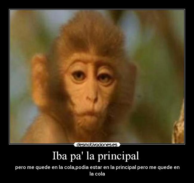 Iba pa la principal - pero me quede en la cola,podia estar en la principal pero me quede en la cola