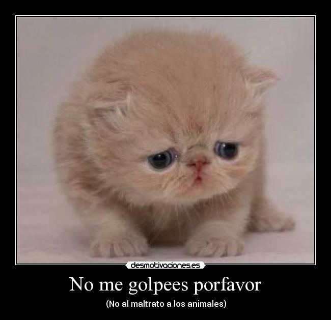 No me golpees porfavor - 
