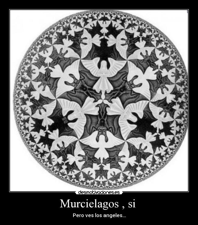 Murcielagos , si  - Pero ves los angeles...