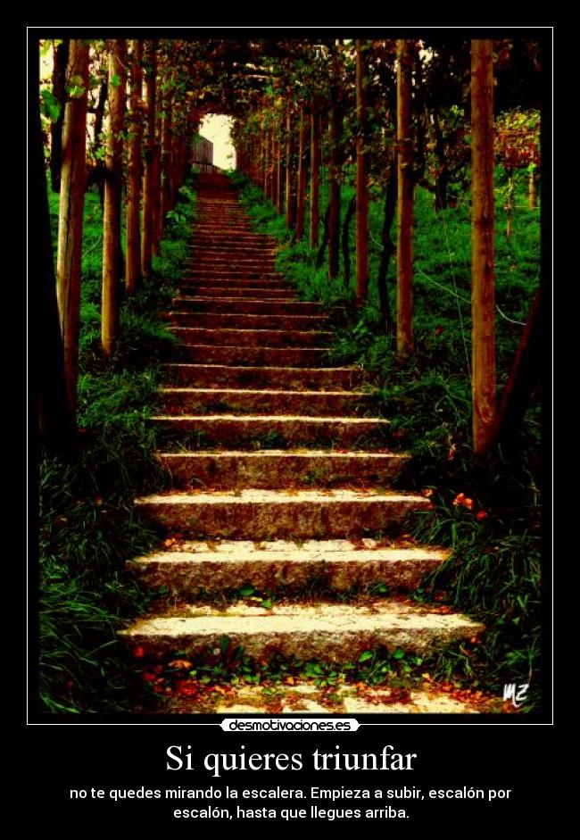 Si quieres triunfar - 