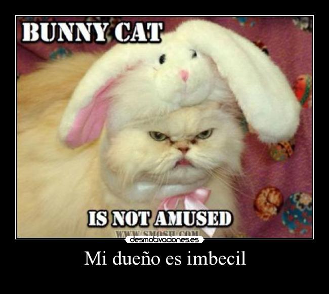 Mi dueño es imbecil - 