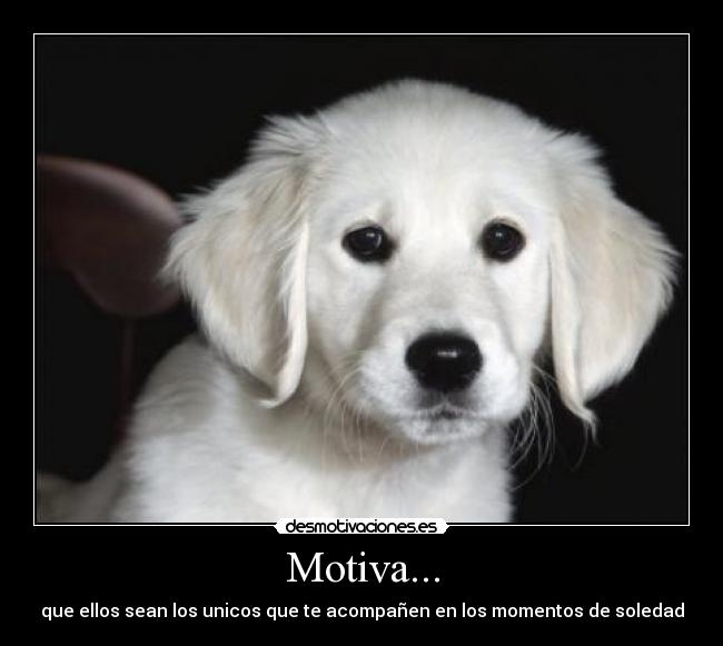 Motiva... - que ellos sean los unicos que te acompañen en los momentos de soledad