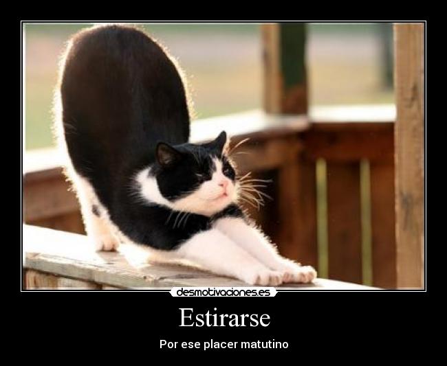 Estirarse - 