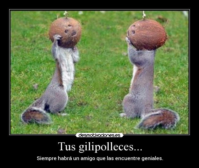 Tus gilipolleces... - Siempre habrá un amigo que las encuentre geniales.