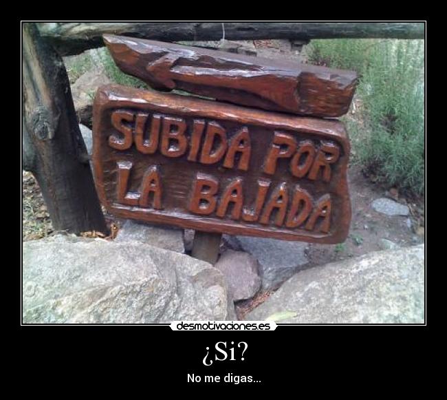 carteles subida por bajada desmotivaciones