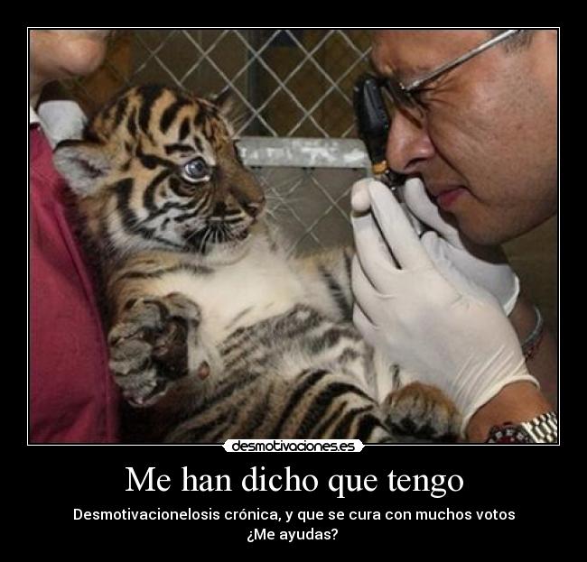 carteles desmotivacionelosis cronica desmotivaciones