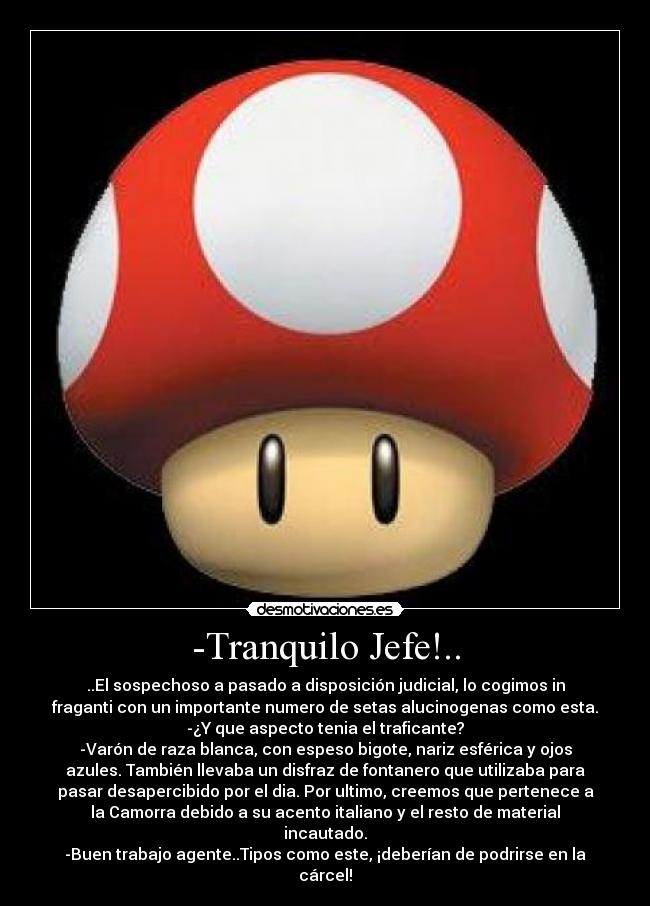 -Tranquilo Jefe!.. - ..El sospechoso a pasado a disposición judicial, lo cogimos in
fraganti con un importante numero de setas alucinogenas como esta.
-¿Y que aspecto tenia el traficante?
-Varón de raza blanca, con espeso bigote, nariz esférica y ojos
azules. También llevaba un disfraz de fontanero que utilizaba para
pasar desapercibido por el dia. Por ultimo, creemos que pertenece a
la Camorra debido a su acento italiano y el resto de material
incautado.
-Buen trabajo agente..Tipos como este, ¡deberían de podrirse en la
cárcel!