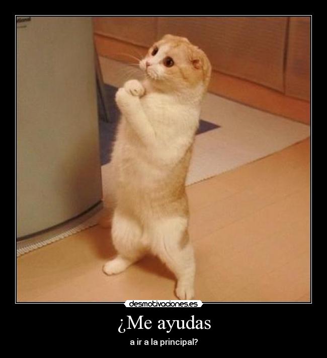 ¿Me ayudas -