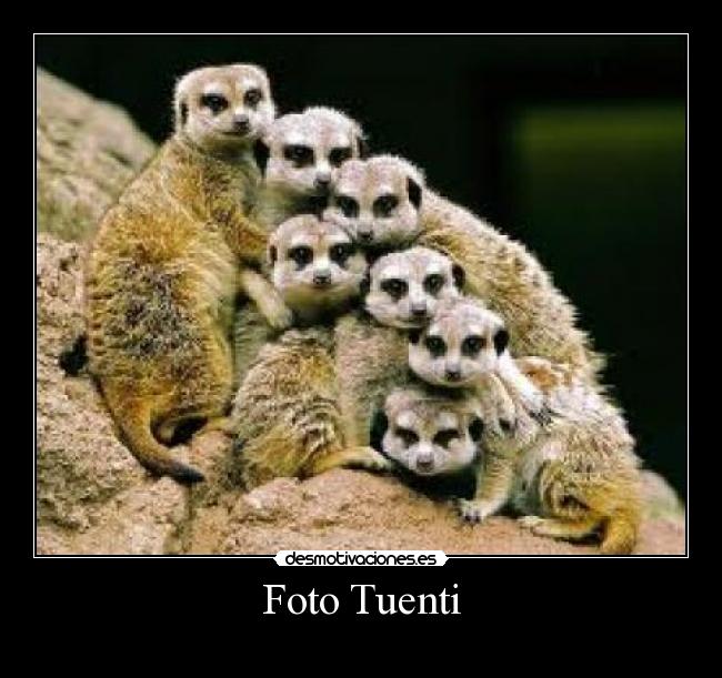 Foto Tuenti - 