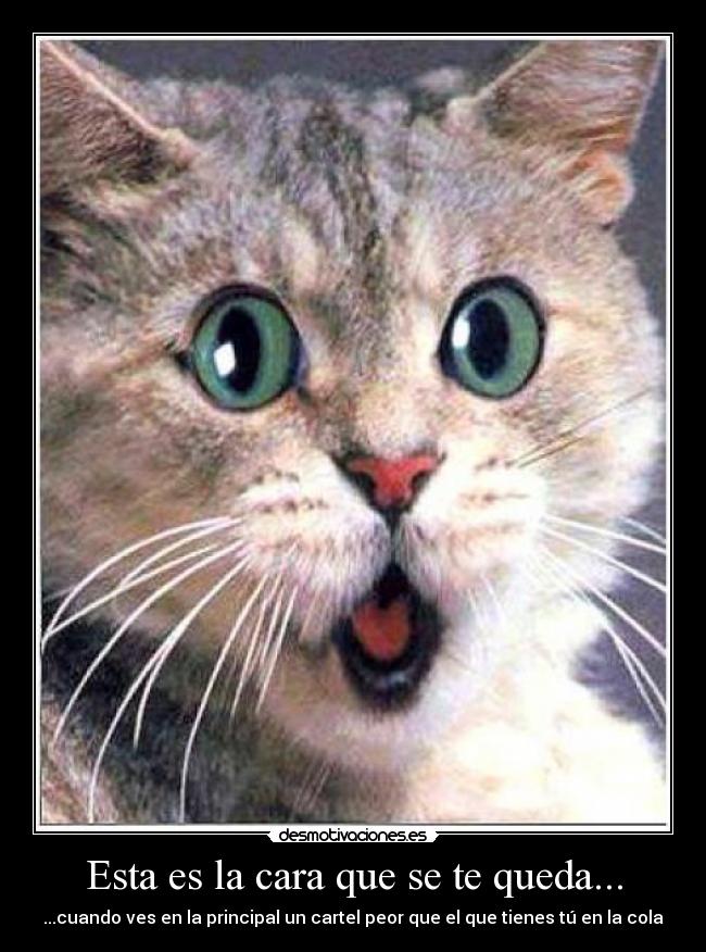Esta es la cara que se te queda... -