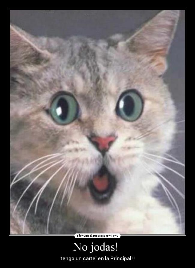 No jodas! - tengo un cartel en la Principal !!