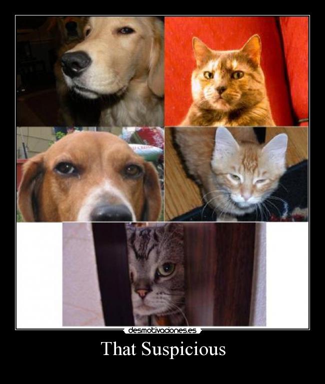 That Suspicious - 