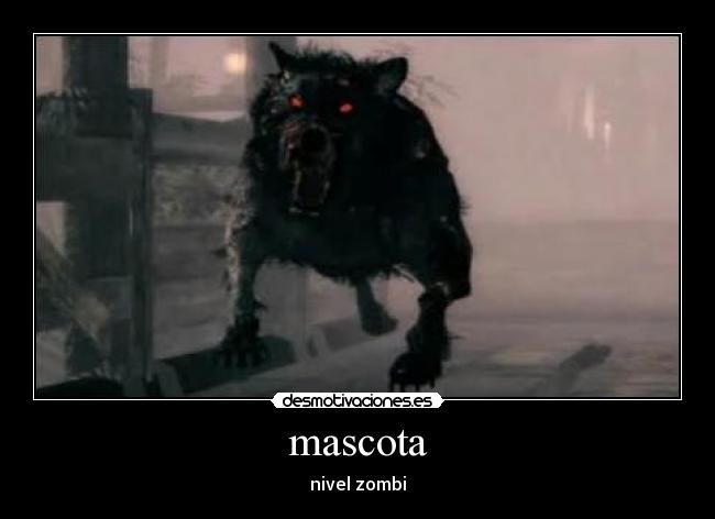mascota -